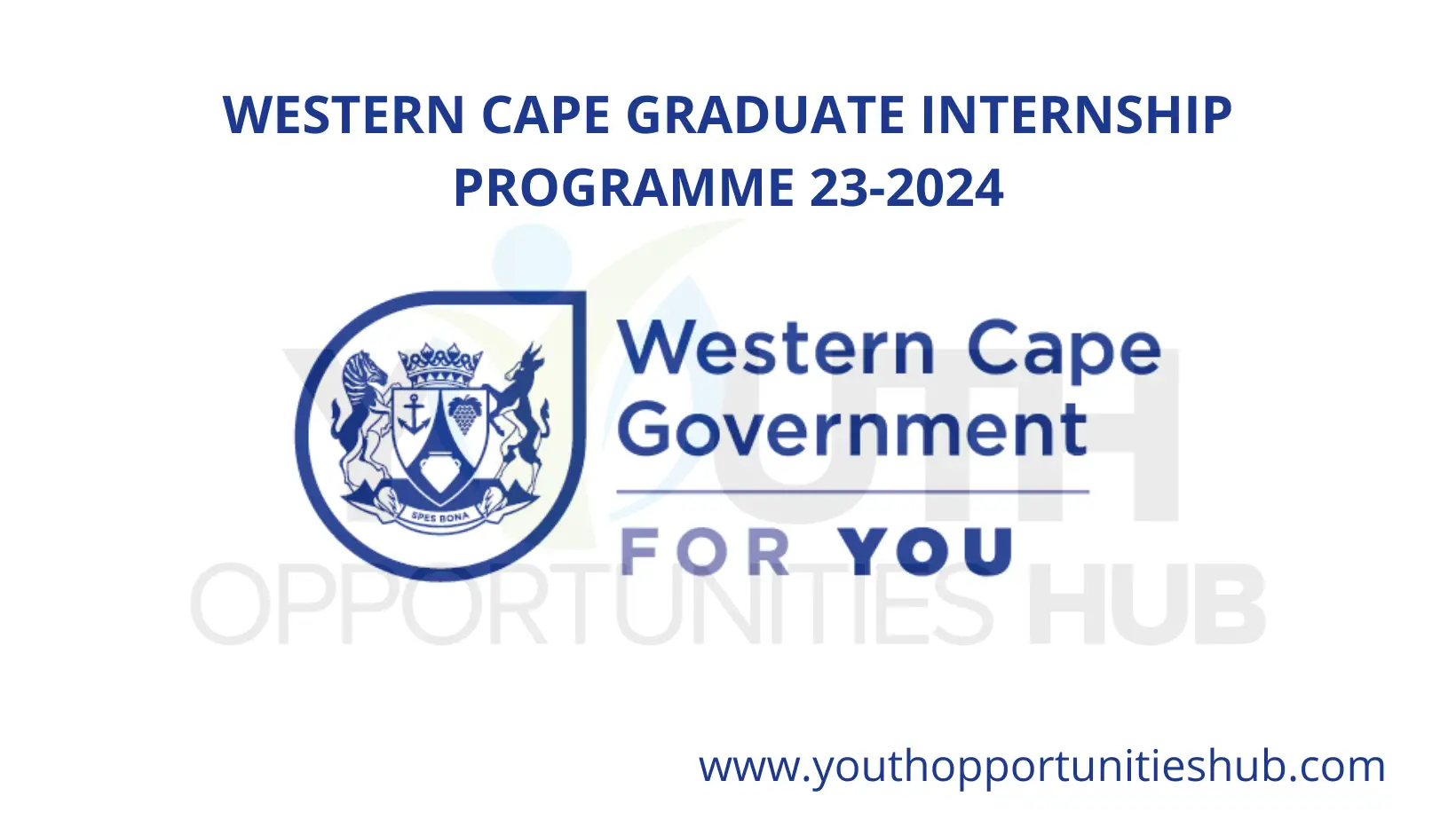 Western Cape: APFYD Matric Internships 2023 / 2024