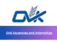 OVK Job Vacancy as Branch Assistant 2024