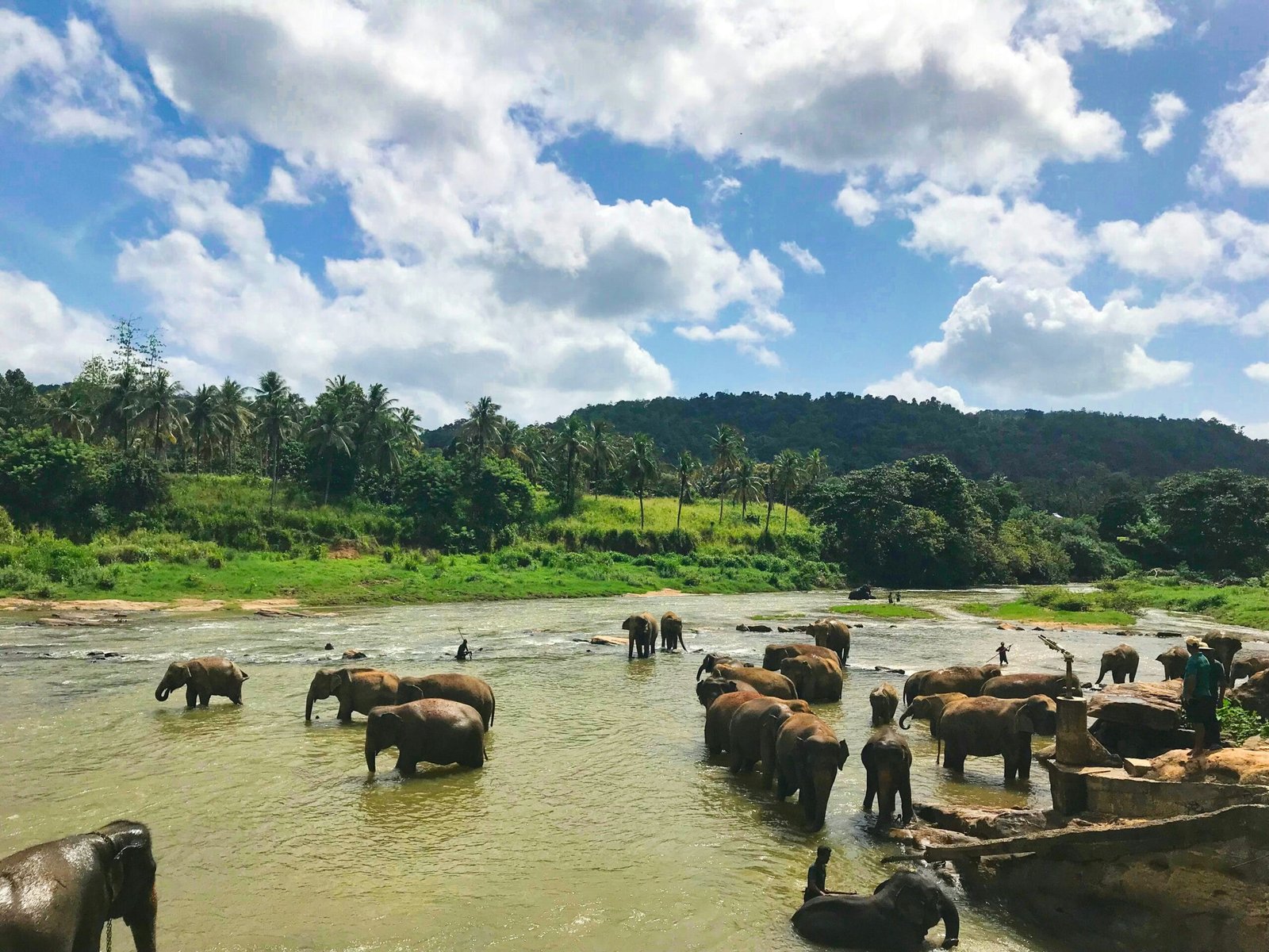 KwaZulu Natal